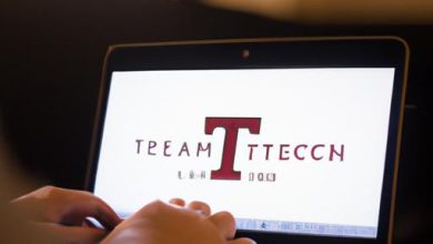 Texas Tech Online Mba